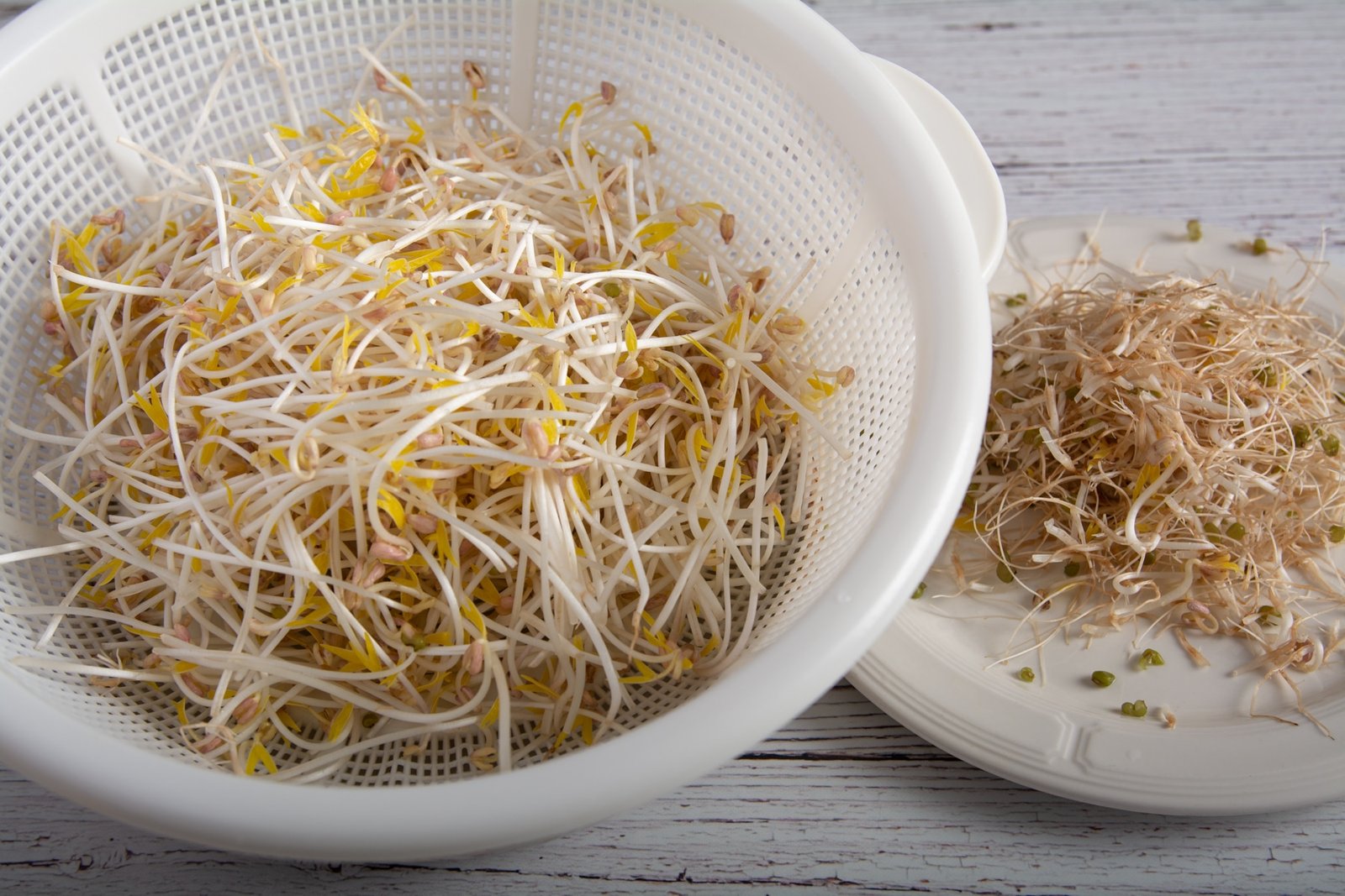 Cleaned mung bean sprouts in a strainer and the tails on a plate.