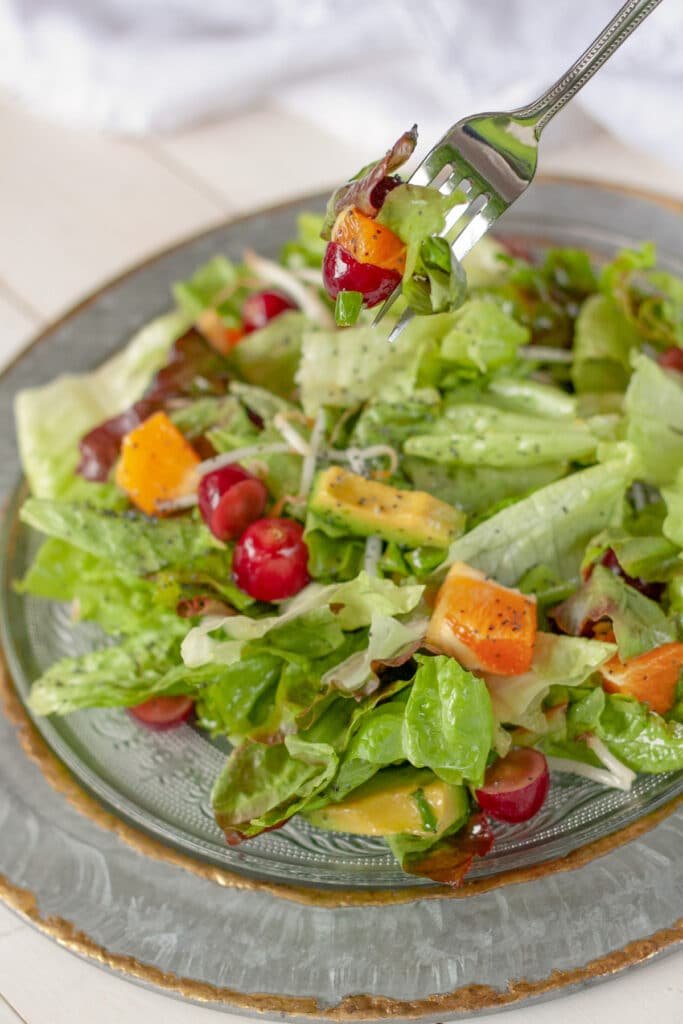 Salad on a plate with a fork holding some of the salad.
