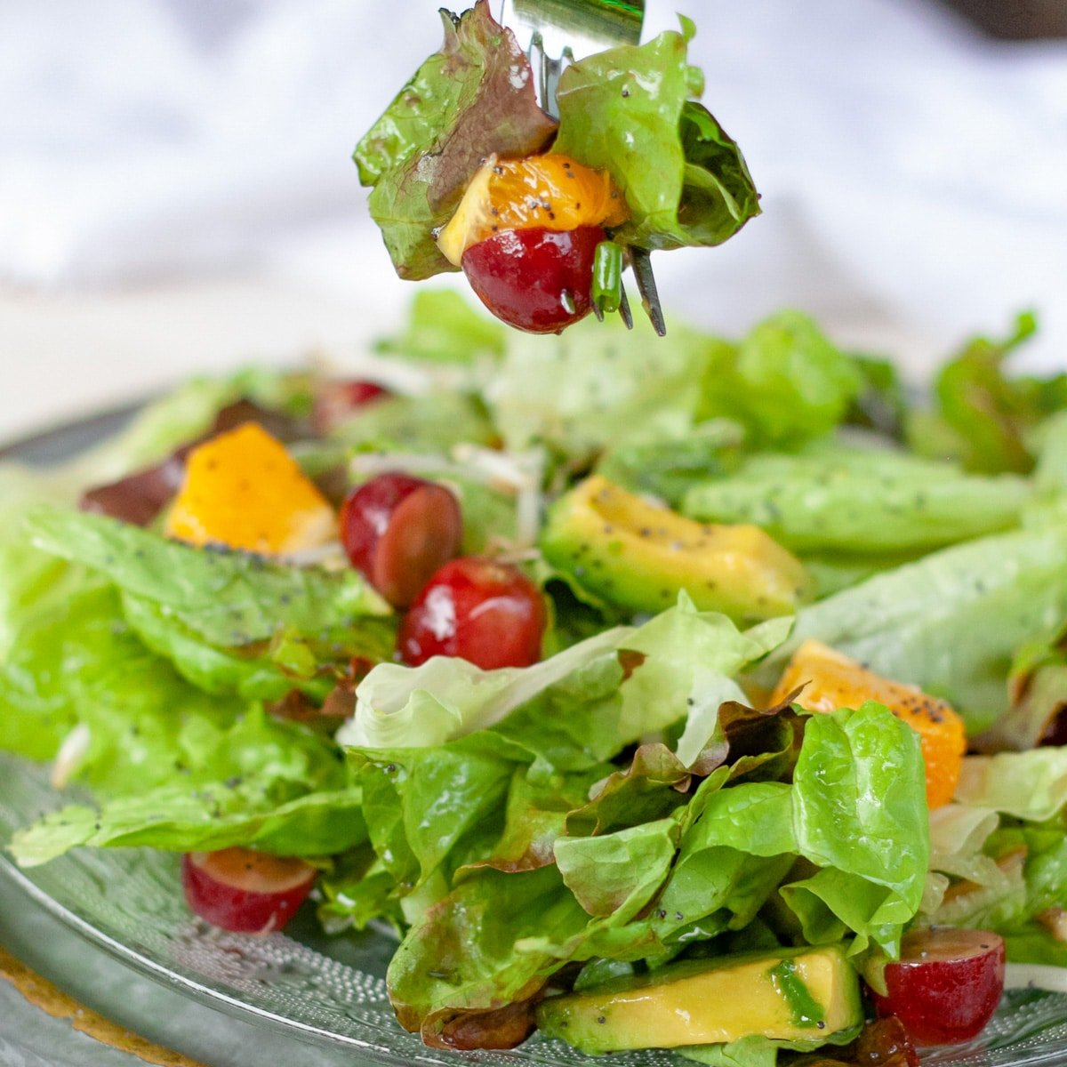 Salad on a plate with a fork holding some of the salad.