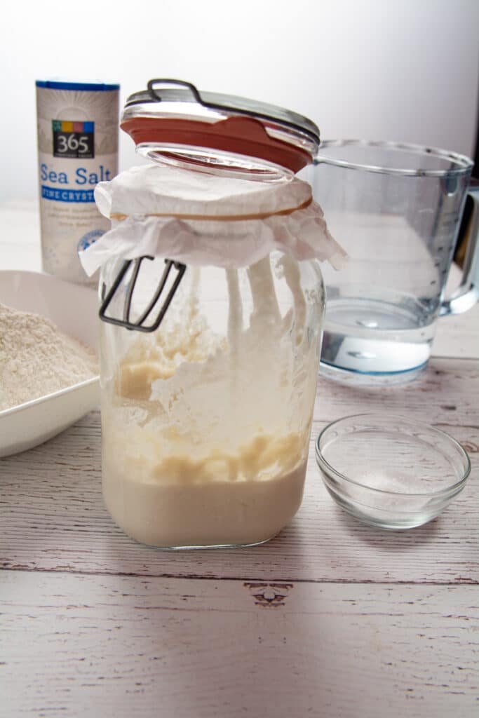 All of the ingredients including the sourdough starter laid out on a table.